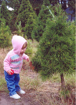 Small child by small Christmas tree